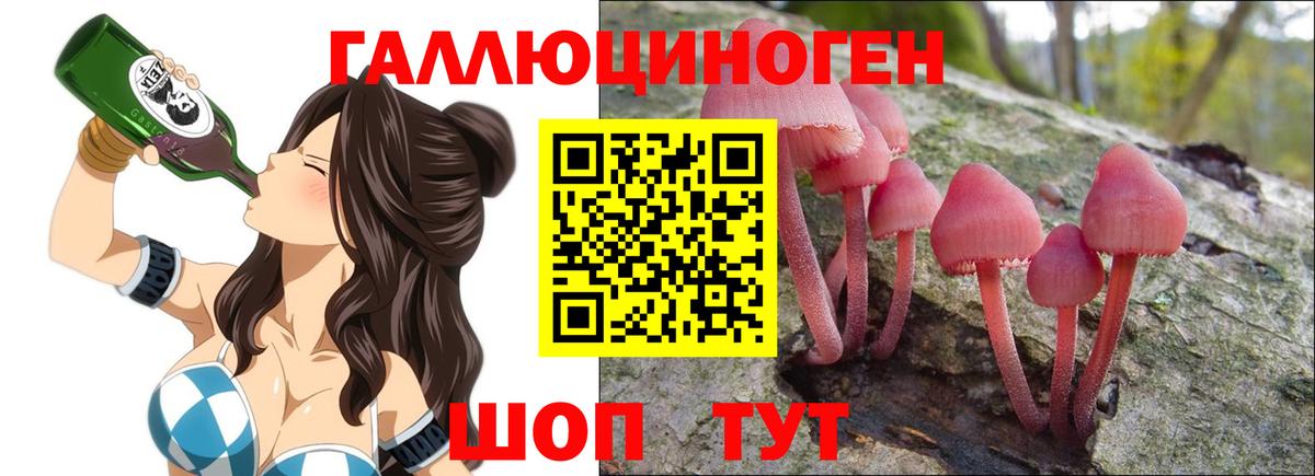 Псилоцибиновые грибы Psilocybe Кандалакша